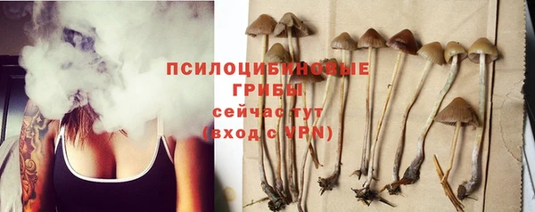 PSILOCYBIN Надым