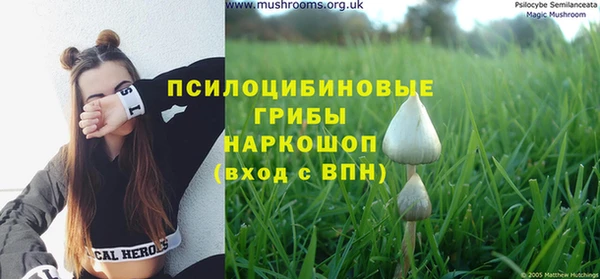 мяу мяу мука Навашино